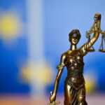 Cooperation and Verification Mechanism EU