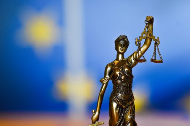 Cooperation and Verification Mechanism EU