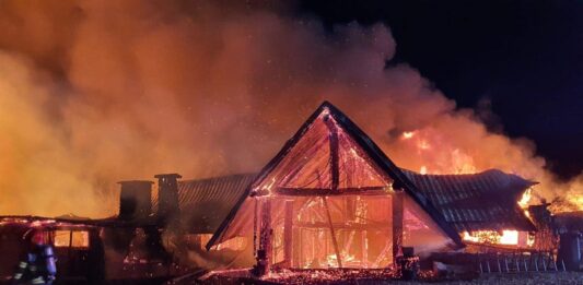 Ferma Dacilor Fire