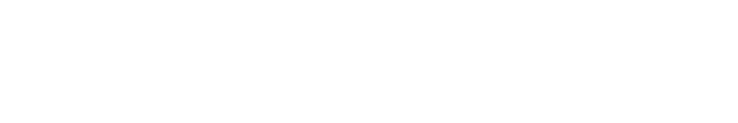 bucharest-daily-news-mobile-logo-light