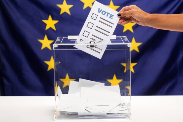 elections for the European Parliament