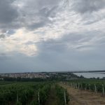 Domeniile Ostrov Constanta