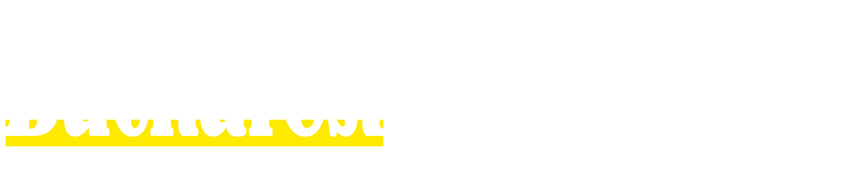 bucharest daily news white