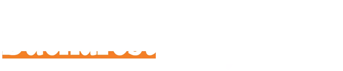 bucharest daily news light