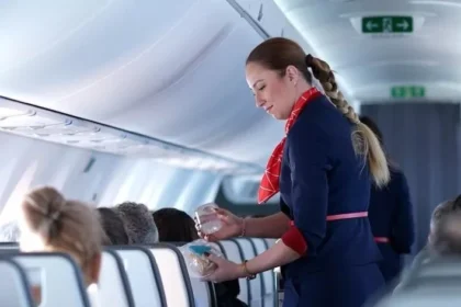 On-bord-service-AnimaWings